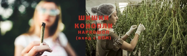 прущие грибы Алексин