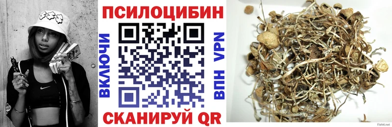 blacksprut вход  Скопин  Псилоцибиновые грибы ЛСД 